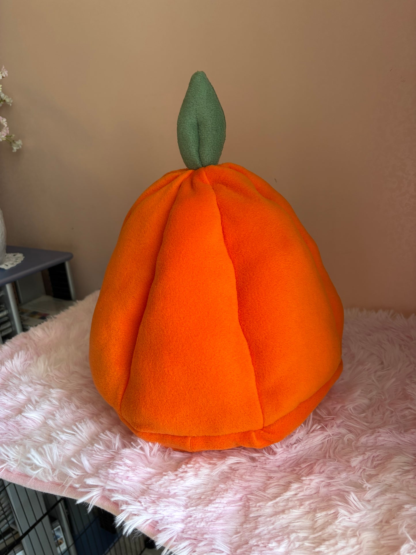 Cuccia Zucca 🎃