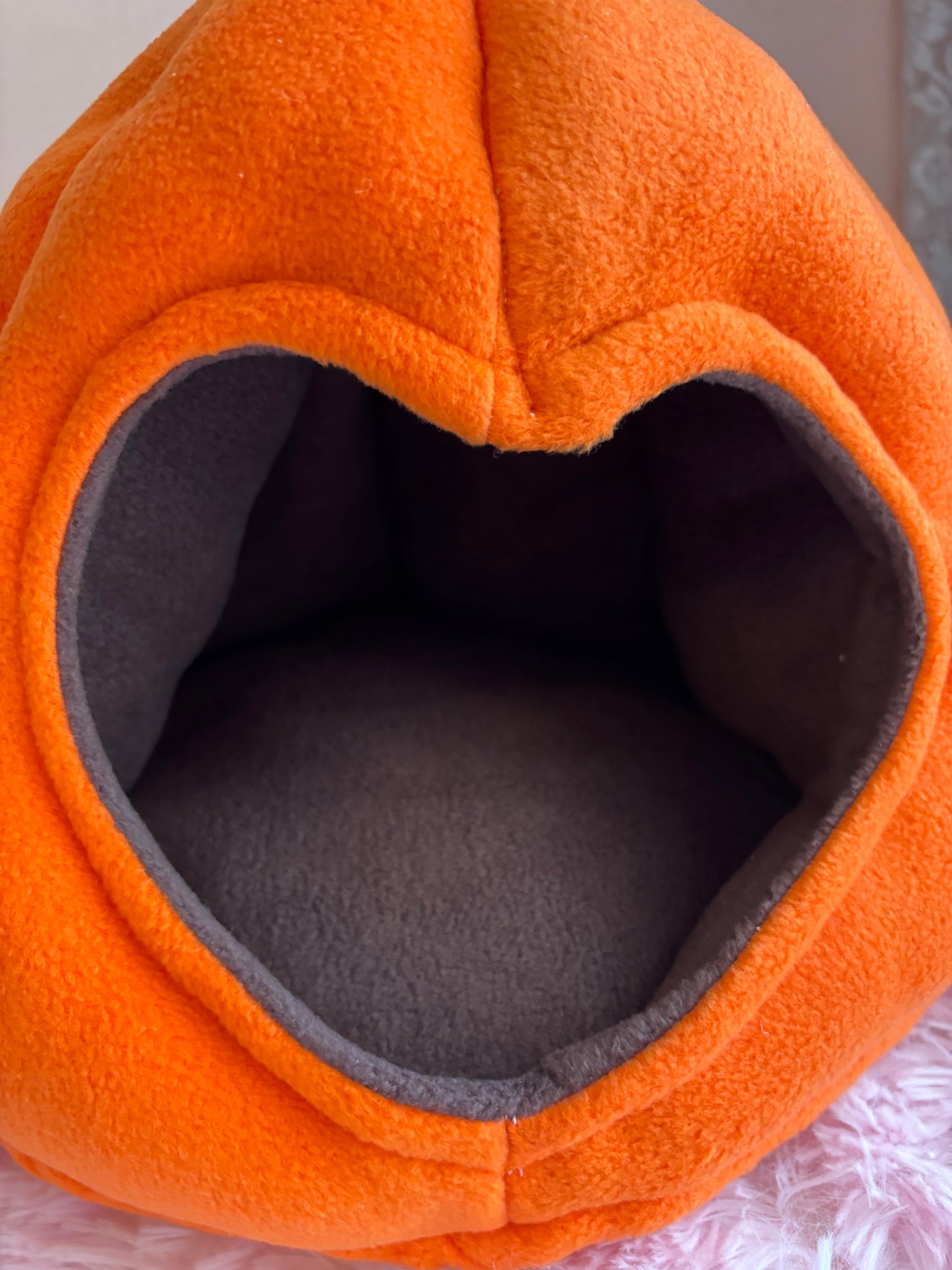Cuccia Zucca 🎃